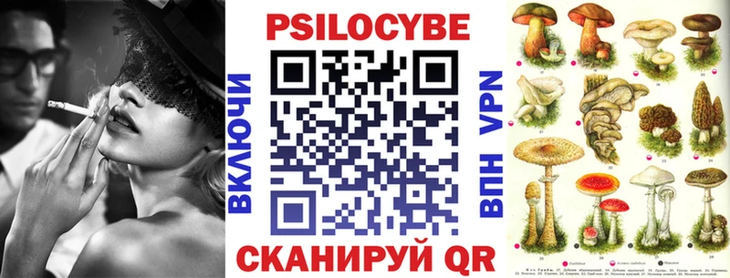 Купить где  Томилино  Псилоцибиновые грибы GOLDEN TEACHER 