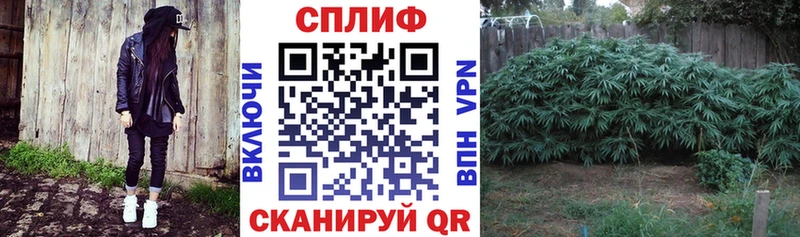 Купить где  Томилино  МАРИХУАНА планчик 